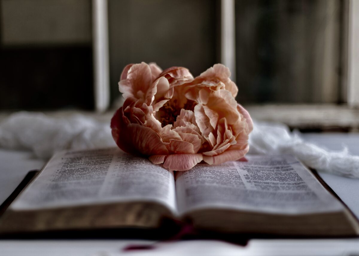 not-giving-up-christianity-sixteen-miles-out-yDl3B_iadhw-unsplash 2
