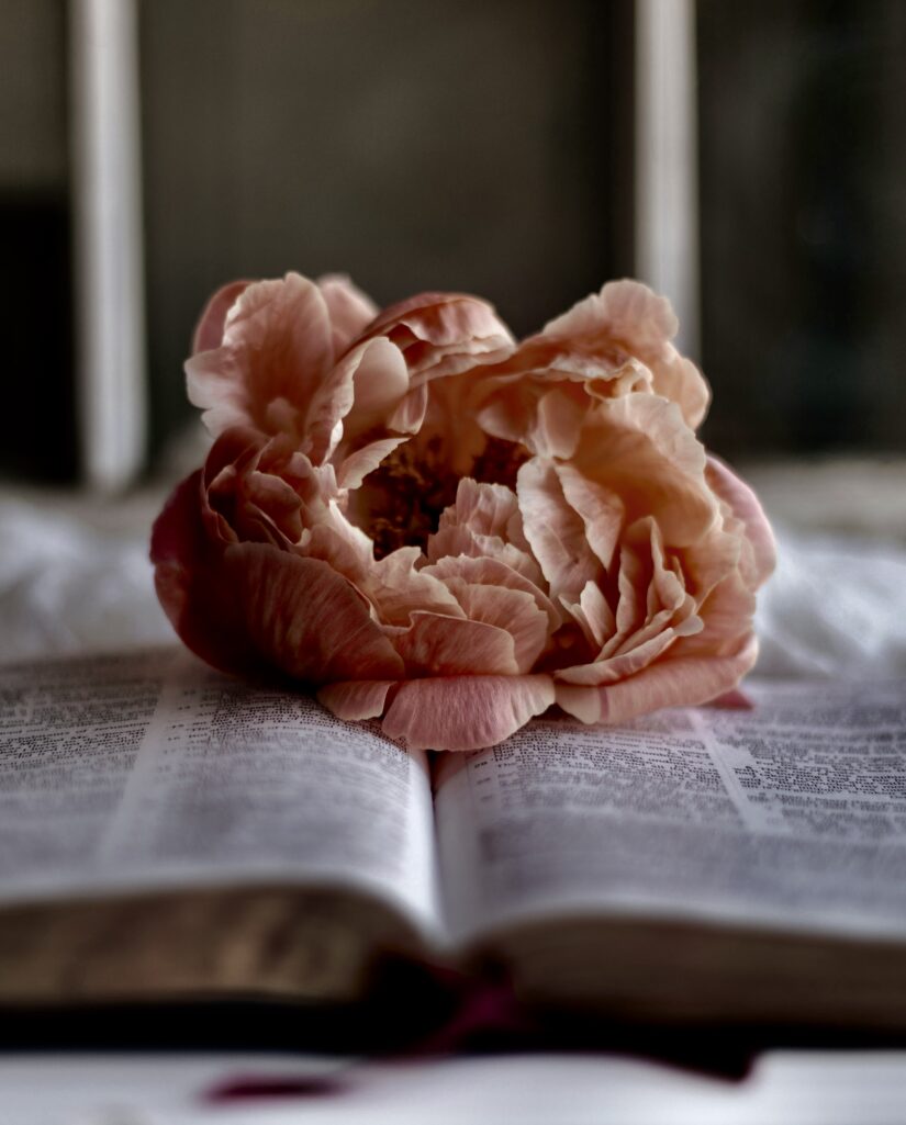 not-giving-up-christianity-sixteen-miles-out-yDl3B_iadhw-unsplash 2