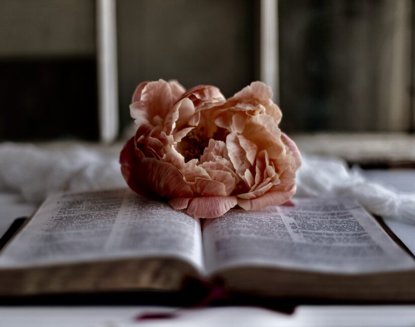 not-giving-up-christianity-sixteen-miles-out-yDl3B_iadhw-unsplash 2